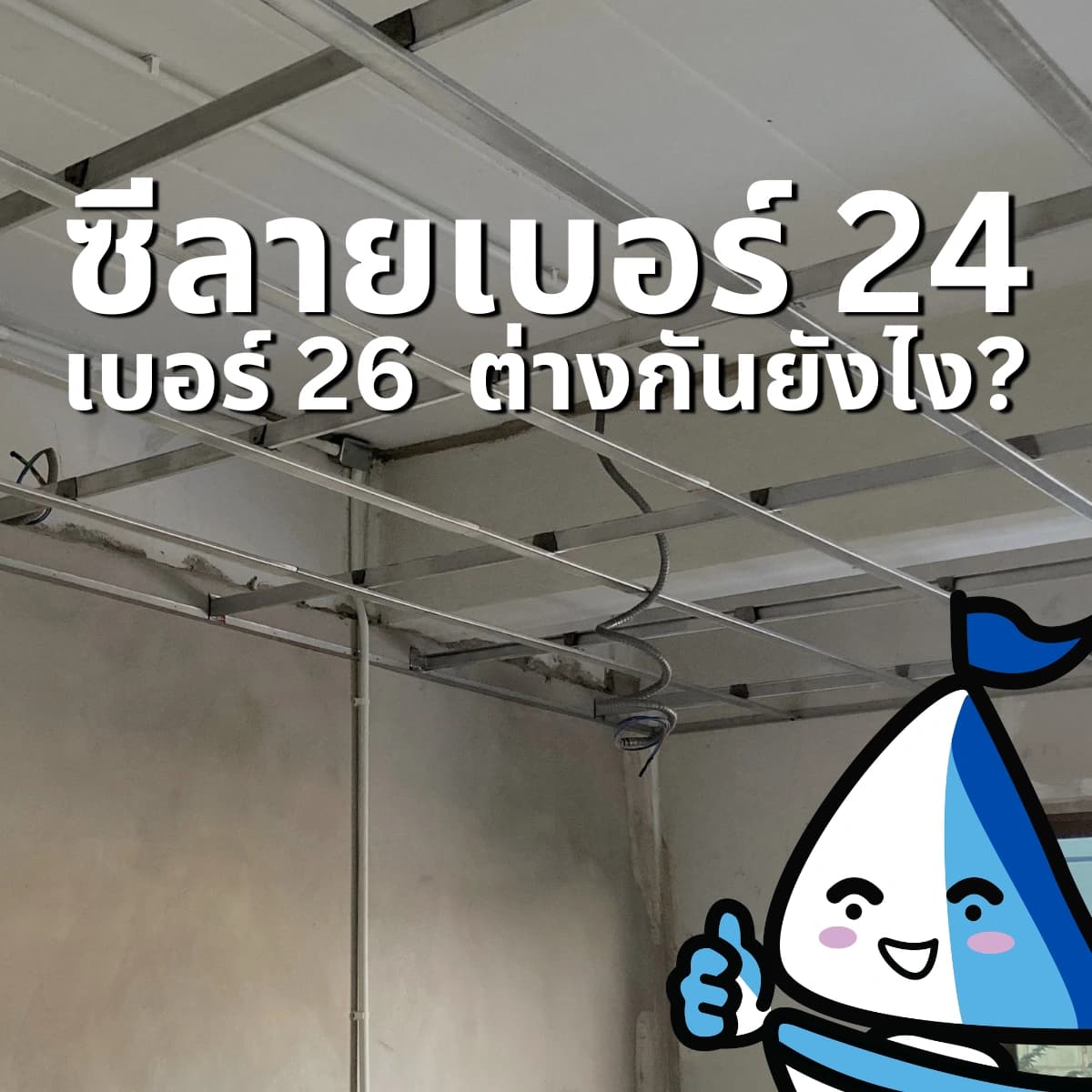 ซีลายเบอร์ 24 กับ เบอร์ 26 ต่างกันยังไง?