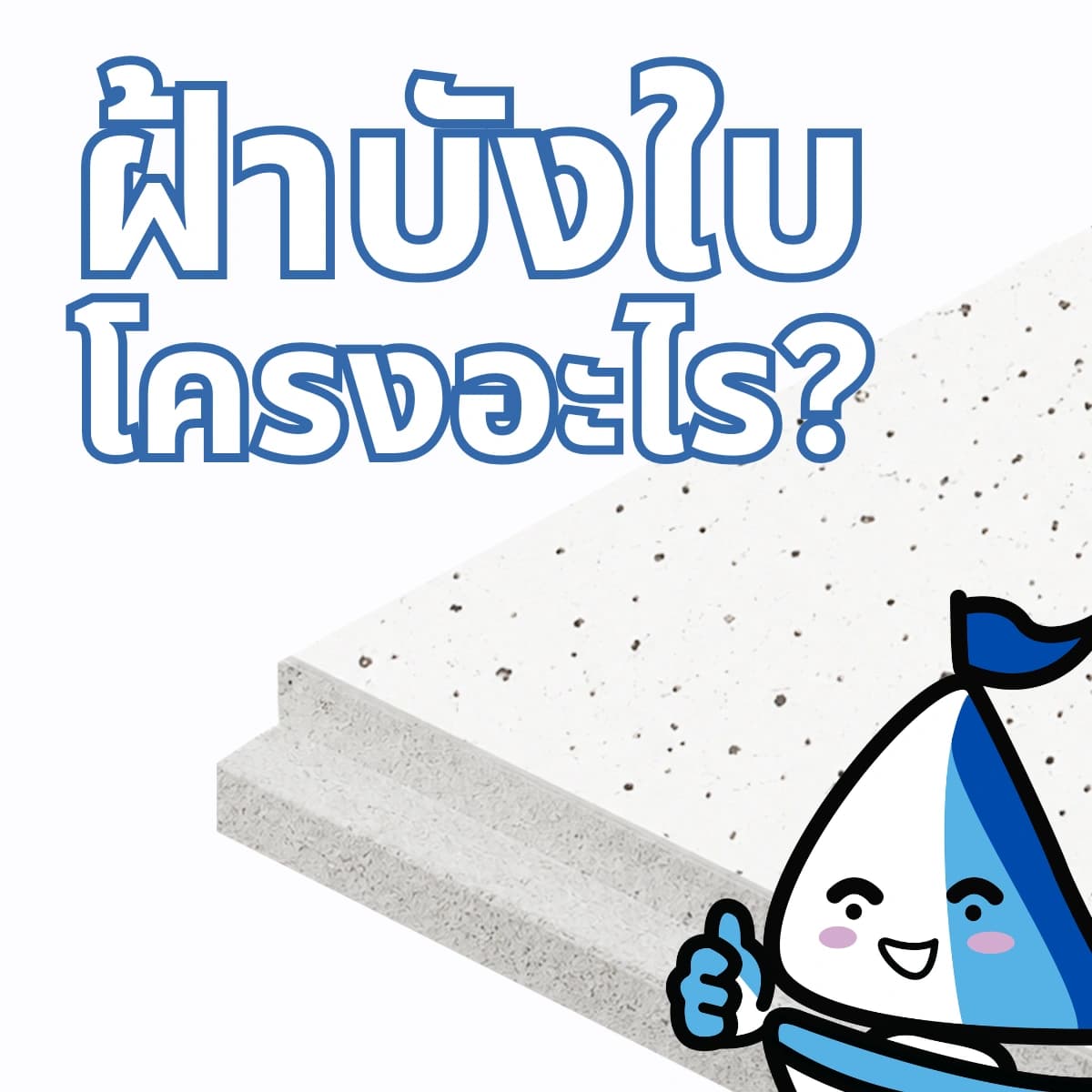 ฝ้าบังใบใช้กับโครงอะไรได้บ้าง? เช็คก่อนสั่งของเข้าไซต์