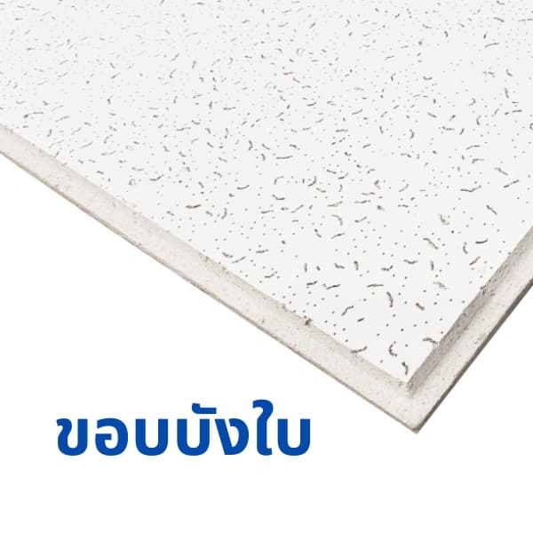 แผ่นฝ้าอะคูสติก ขนาด 600 x 600 x 16มม. ขอบบังใบ