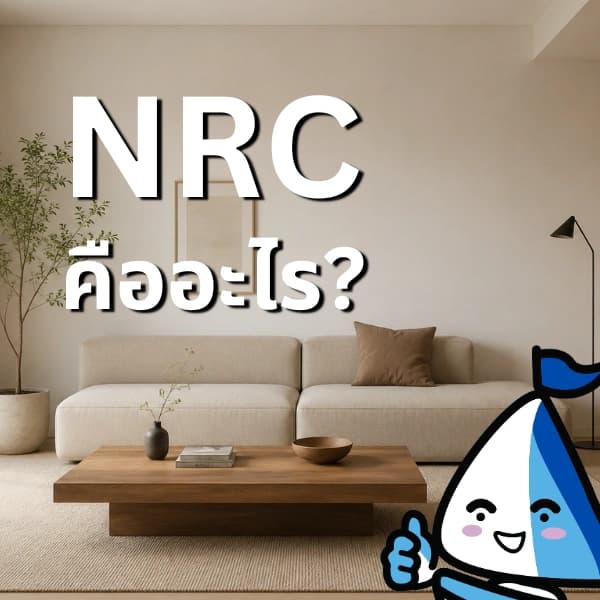 NRC 0.50 คืออะไร ดูดซับเสียงได้ดีพอไหม? เลือกแบบไหนถึงคุ้ม